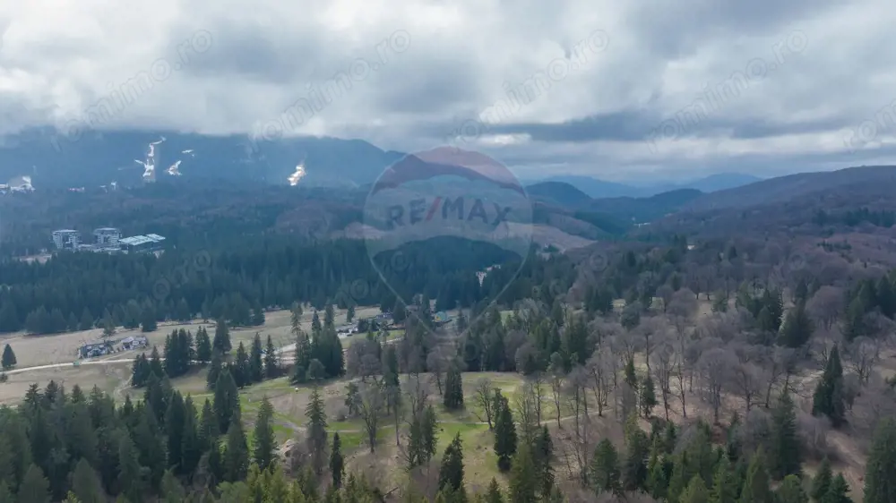 Teren intravilan –  Poiana Mică | Investiție ideală!