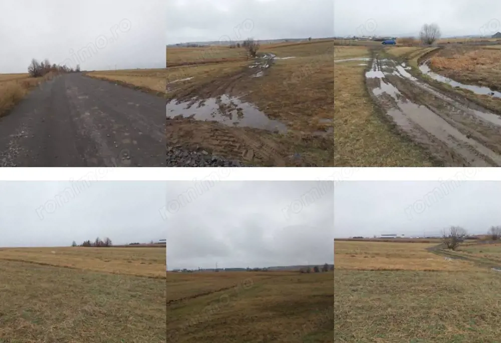 Teren extravilan Com. Vlahita, jud. Harghita