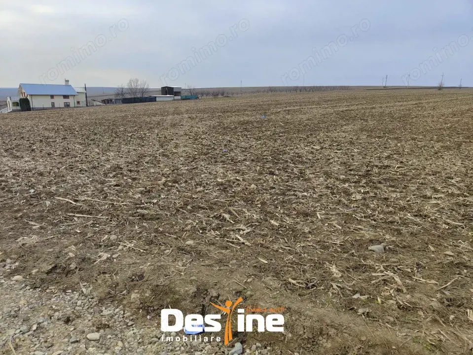 Comision 0% - Teren Primarie Dumesti, 8100 mp, front 13 ml, 