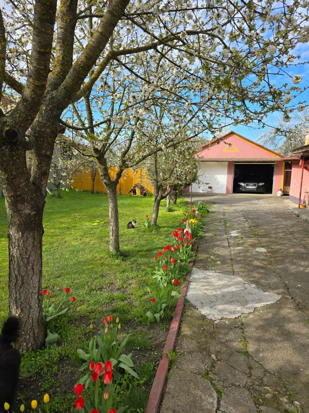  Casa individuala 4 camere si garaj in Pischia amenajata mobilata utilata pozitie excelenta