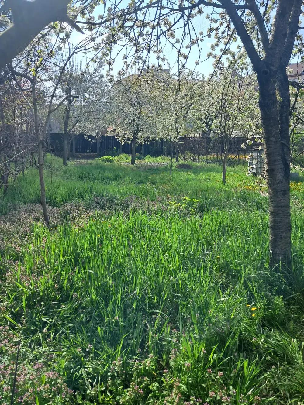 Zero comision!!! Zona Lunei, teren suprafață 827 mp, front stradal 16 metri, preț 300 euro mp