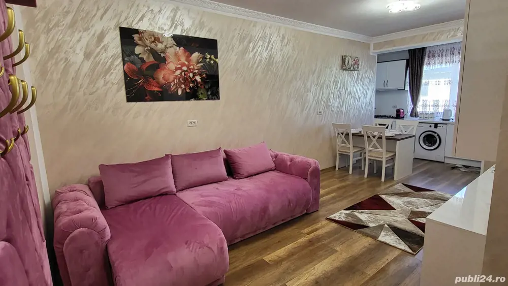Aly Apartaments Suceava Regim hotelier!