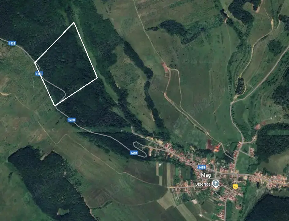 Vând pădure de stejar, carpen. 12,71 hectare