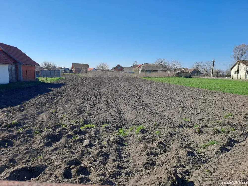 Teren intravilant. comuna Checea 