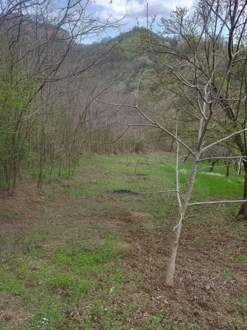 Teren livada și vie cu View panoramic