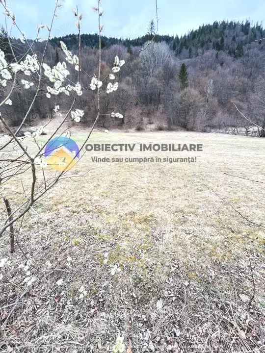 TEREN zona de munte TARCAU