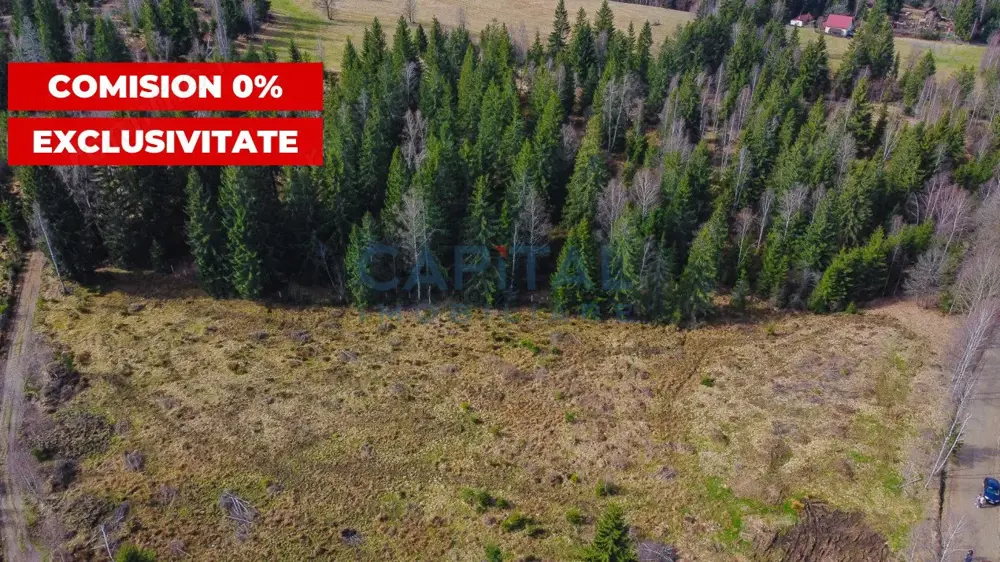 Teren intravilan cu utilitati, platou/pasune impadurita, Dealu Negru, Calatele