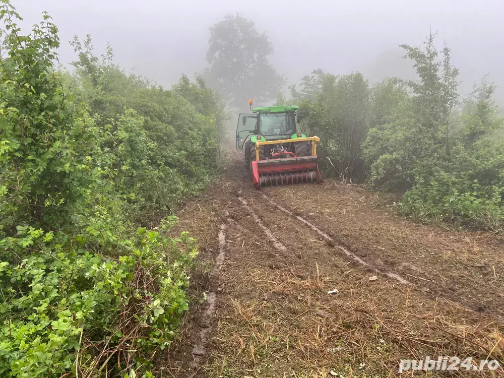 tocatoare forestiera 