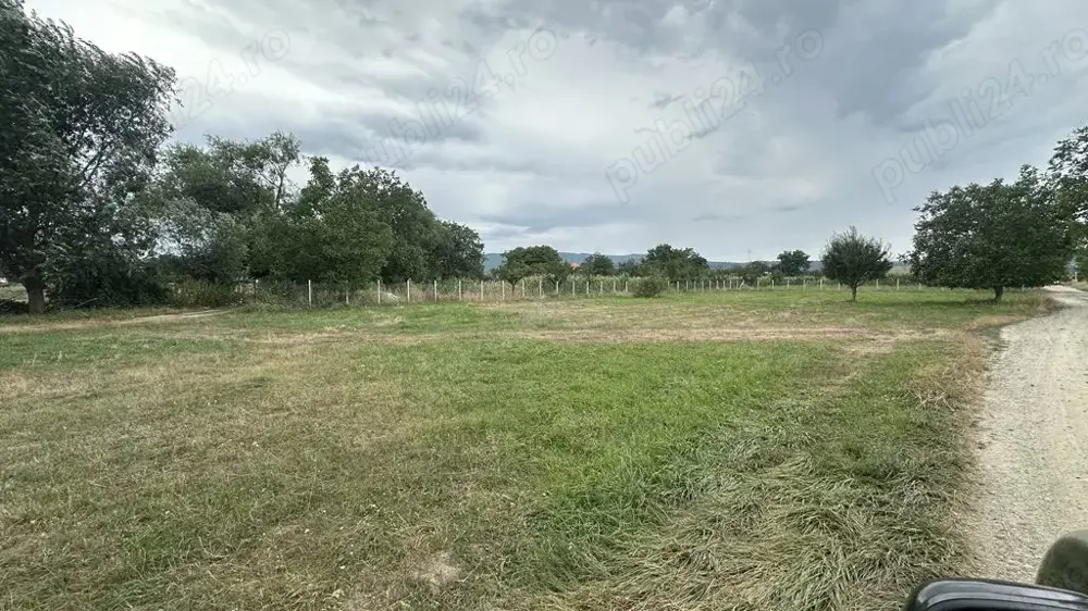 Vand teren intravilan la intrarea in Petresti (Sebes-Alba) pe stinga, str. Alunei