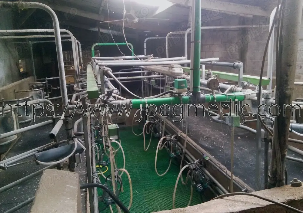 Vand sala de muls Westfalia 2x5