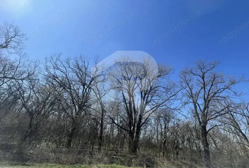 Gruiu_Lipia_Teren Intravilan langa padure