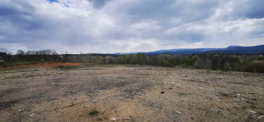 Teren 26500mp investitie dezvoltator imobiliar km 7 Calea Caransebesului 11 euro  negociabil