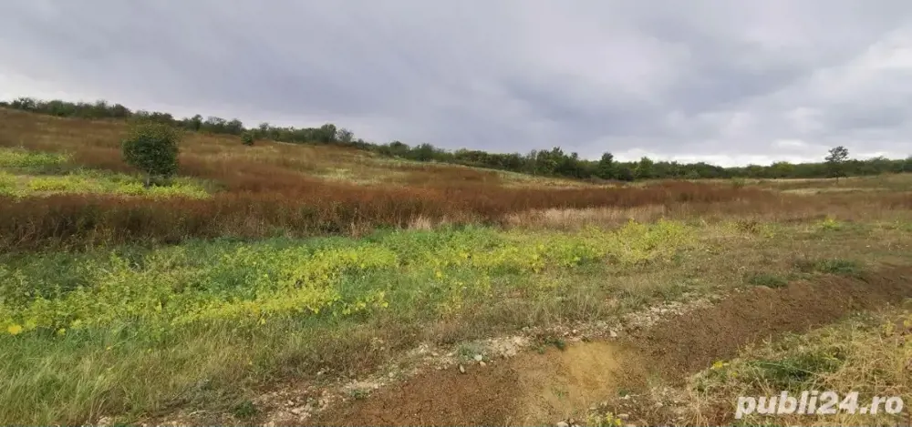 Teren la câteva minute de centrul orașului cu panoramic spre lac