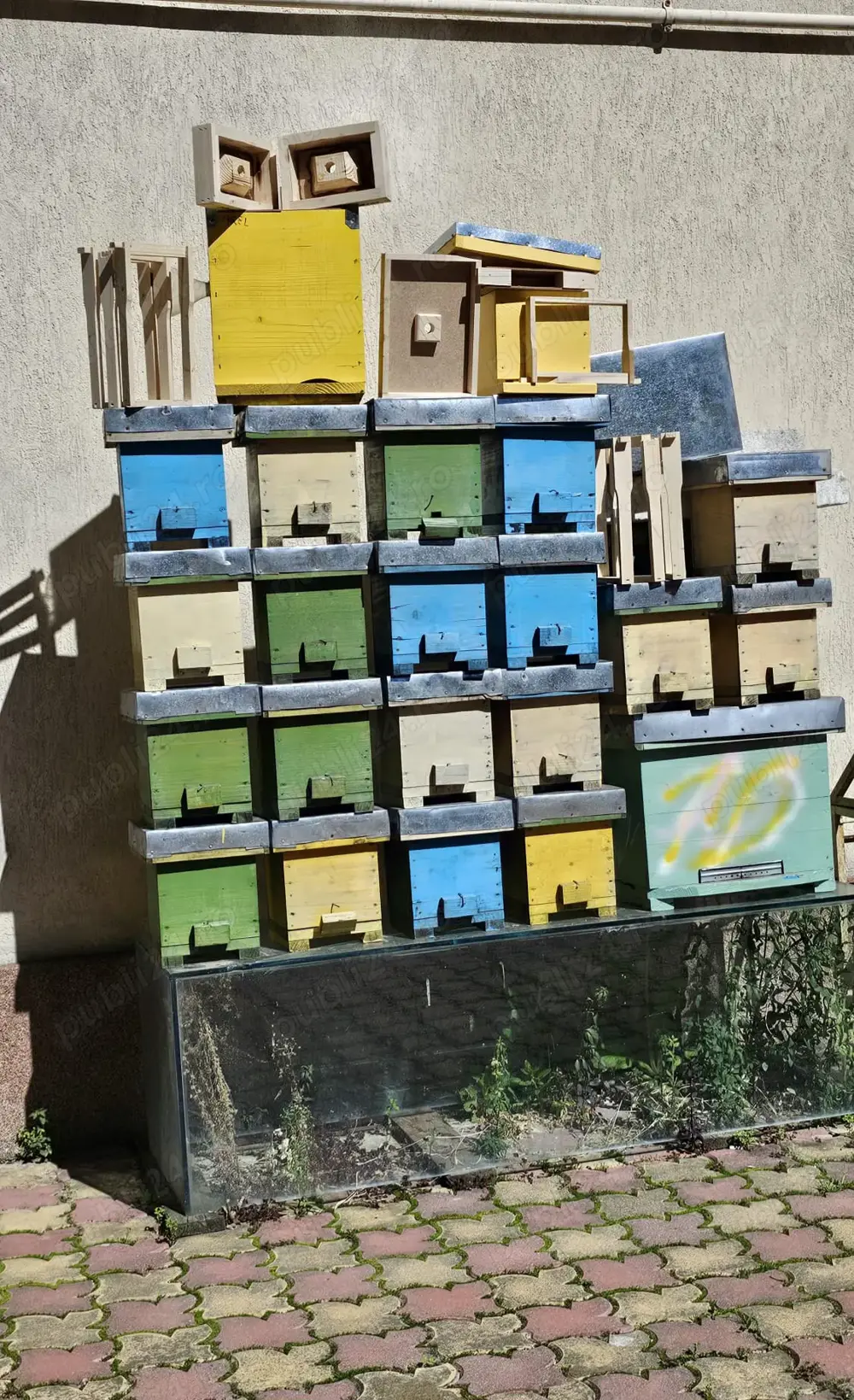 NUCLEE pentru împerecheat mătci albine 