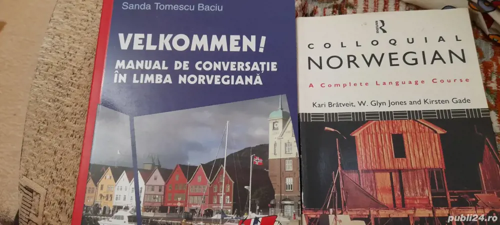 manual, dictionar limba norvegian 