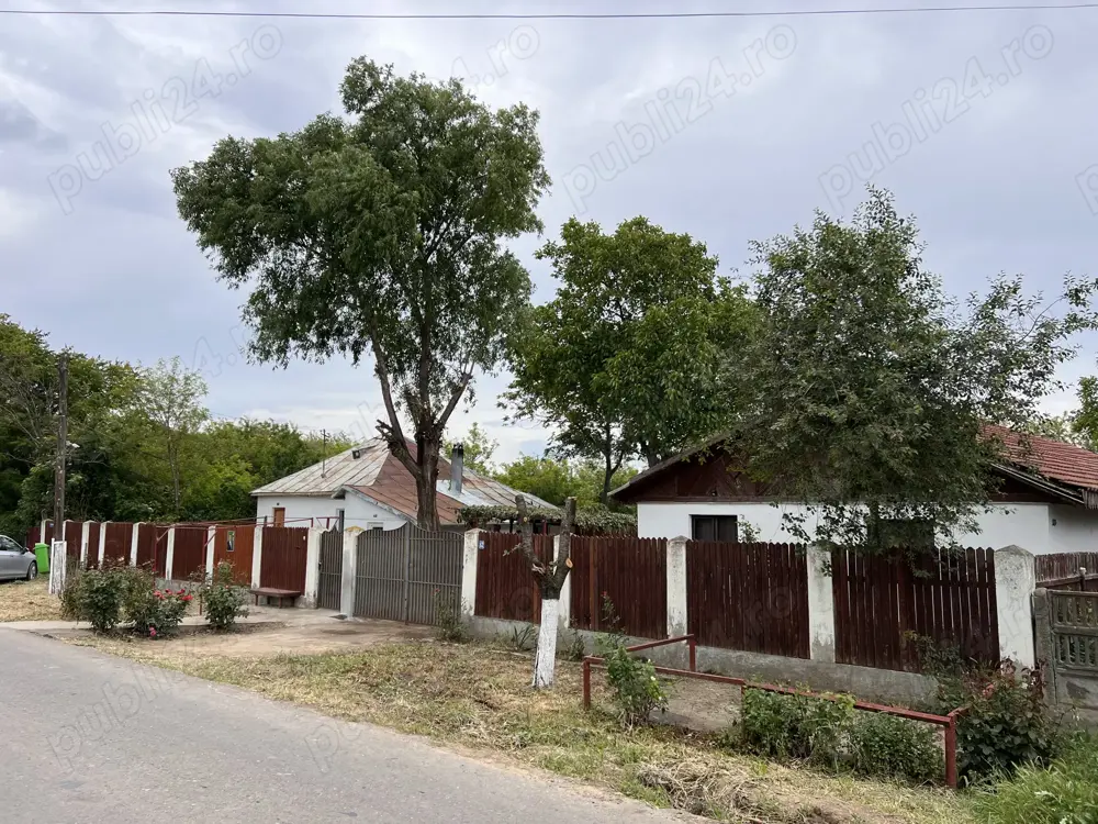 Case de vânzare 