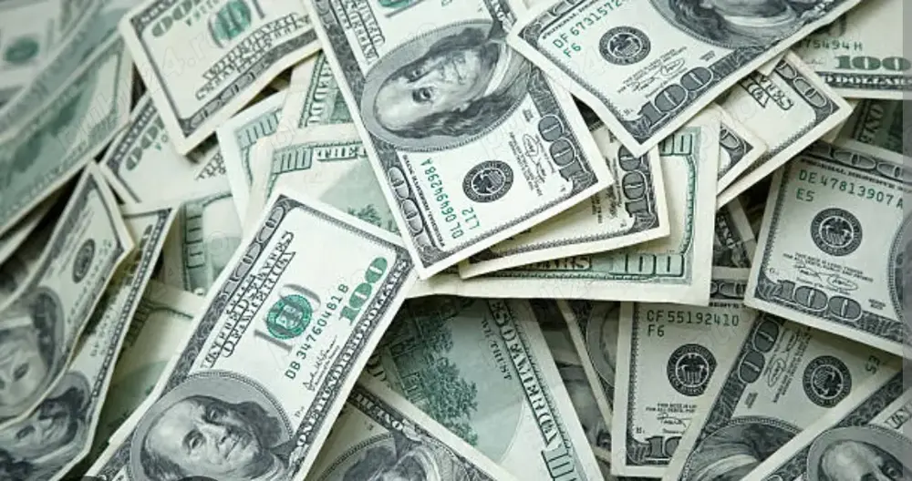 Se cauta fete Olanda si Elvetia