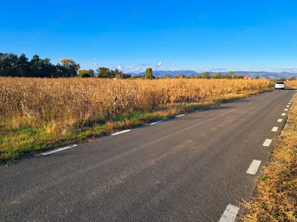 Teren extravilan arabil 7.526 mp (poate fi trecut in intravilan) in Satul Bacia din Comuna Bacia, HD