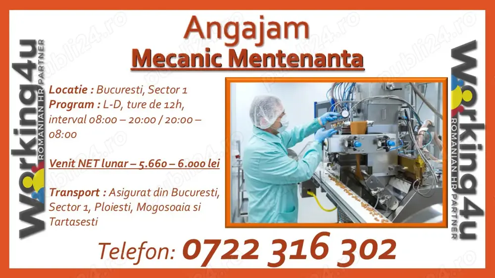 Mecanic Mentenanta