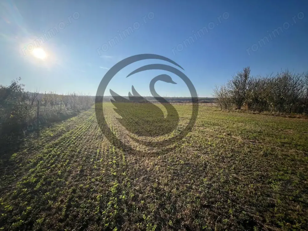 Teren intravilan de vanzare | 12.650 mp | Ghirdoveni, | Comision 0%