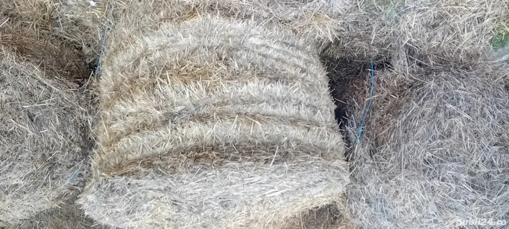 paie baloți rotunzi 130x120