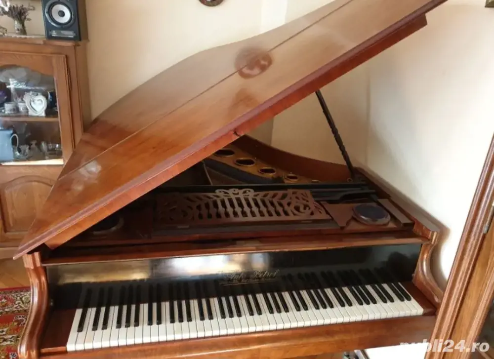 Pian Ant. Petrof coada scurta