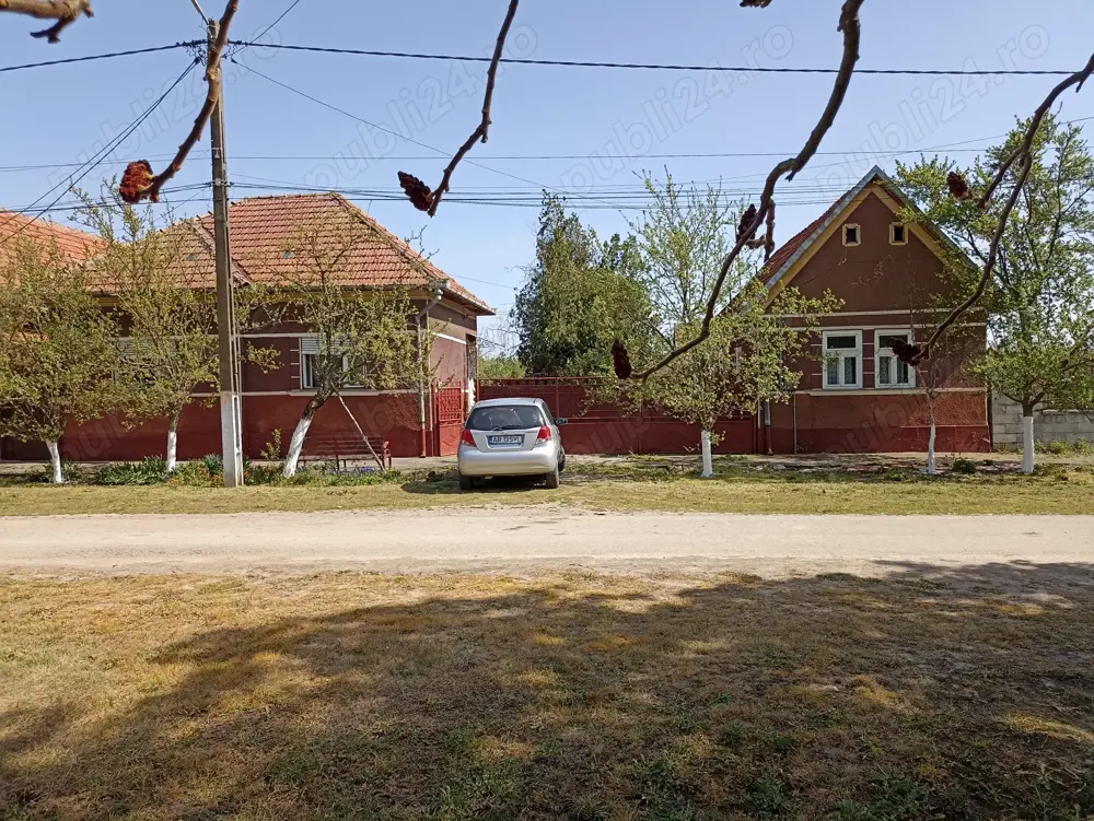 Vând casă cu grădină în Cermei 451.