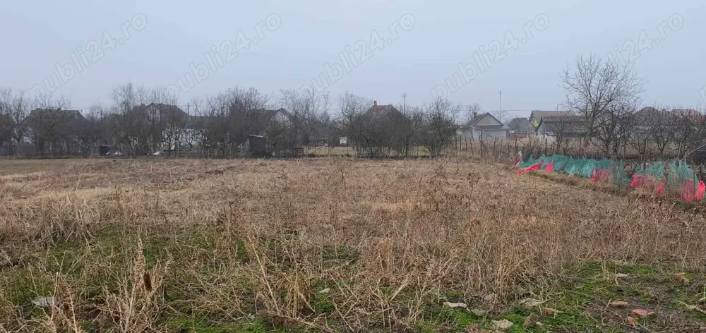 Vând loc de casă în Com. Șimand, Jud. Arad