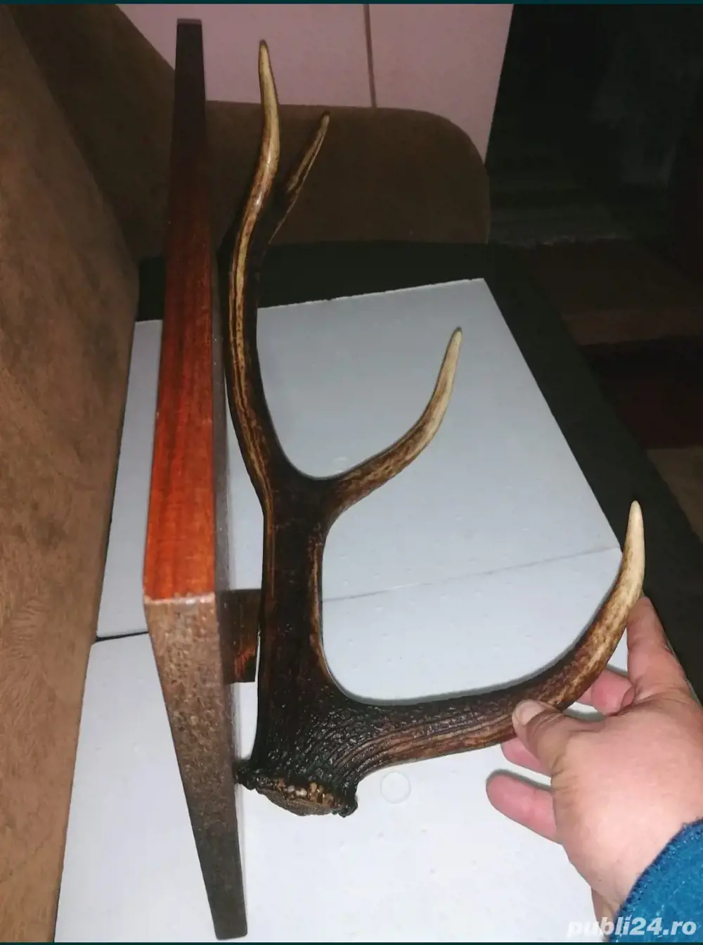 Cuier din corn de cerb