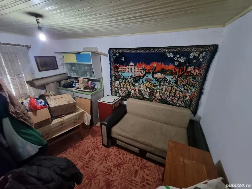 A   13. 20000 mp teren și 3 constructii casa in judetul Bacău 