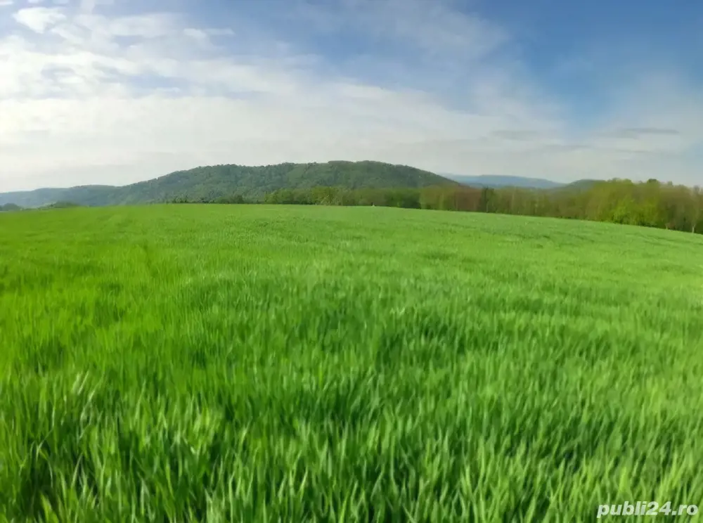 6.3 Ha Teren Extravilan Agricol in Slava Rusă