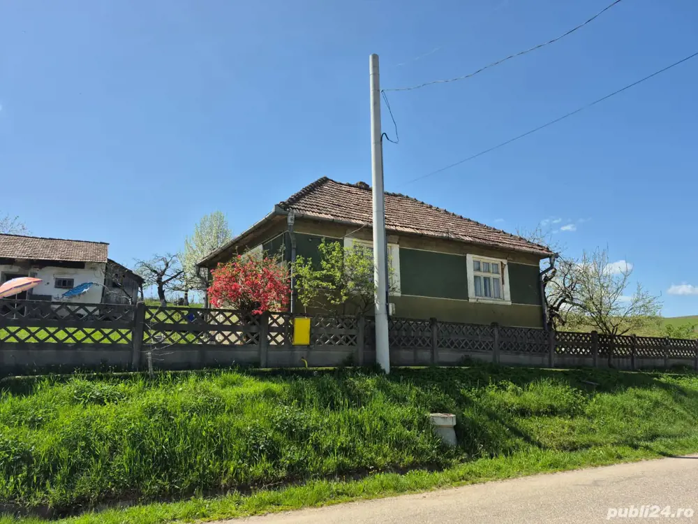 Casă țărănească autentică,  teren generos și multe facilități. 