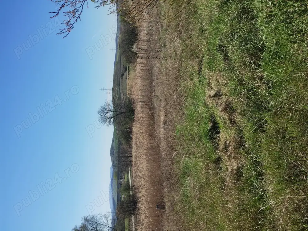 Pământ de vânzare Mahaceni  Pământ de vânzare Mahaceni