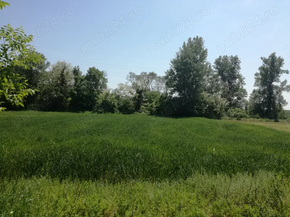 Teren intravilan 5390mp, Vladimir-Andreesti, jud Gorj