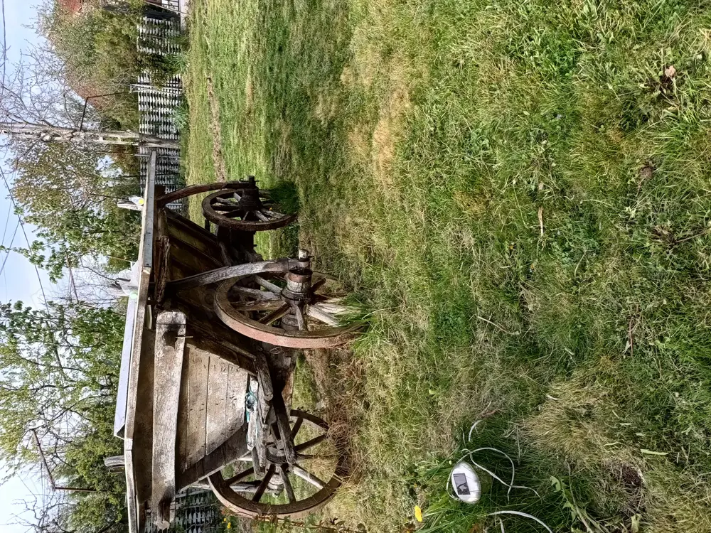 Vand căruță artizanala veche de 50 ani din regiunea Oltenia 