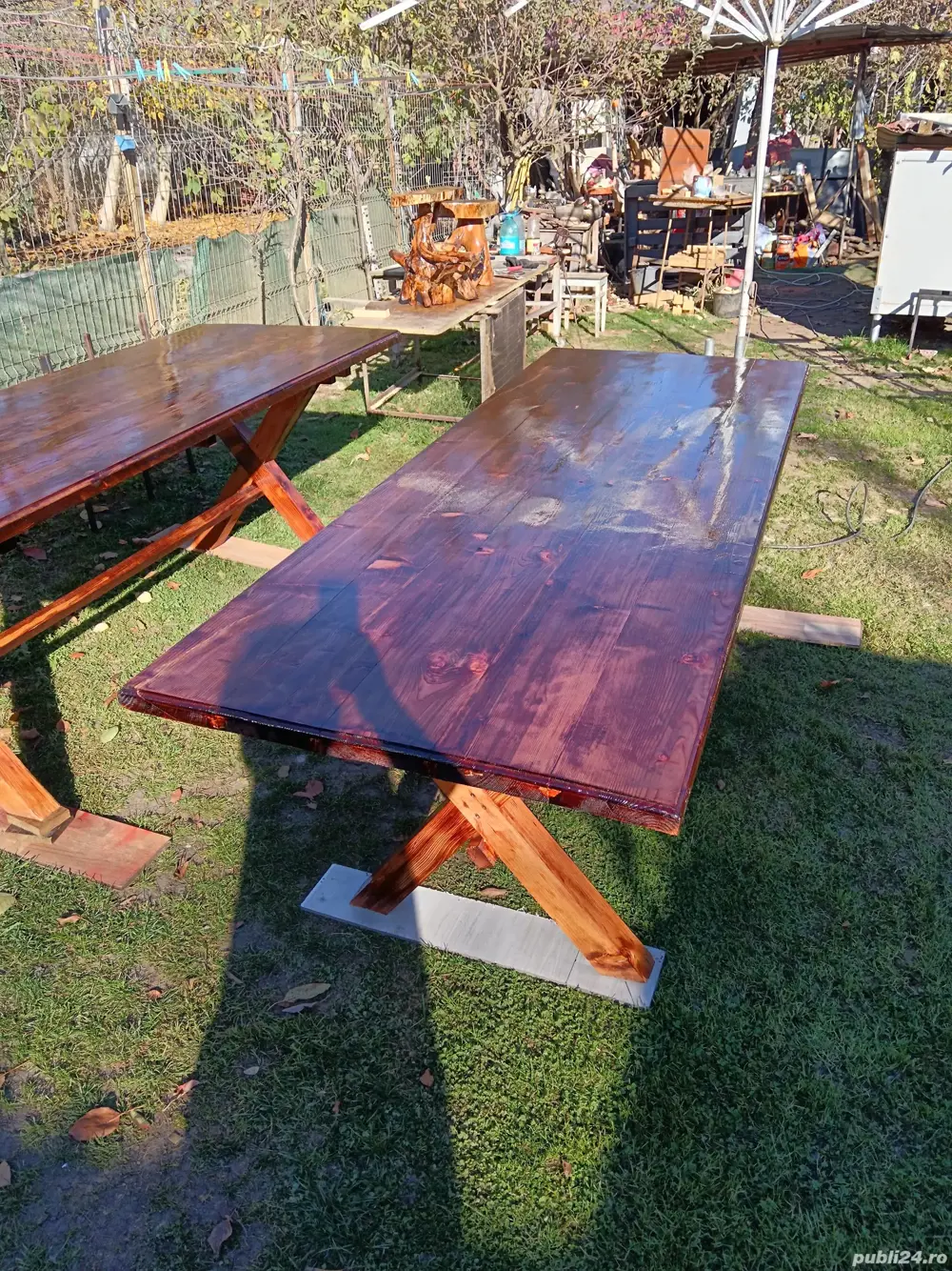 Decorațiuni de grădină 