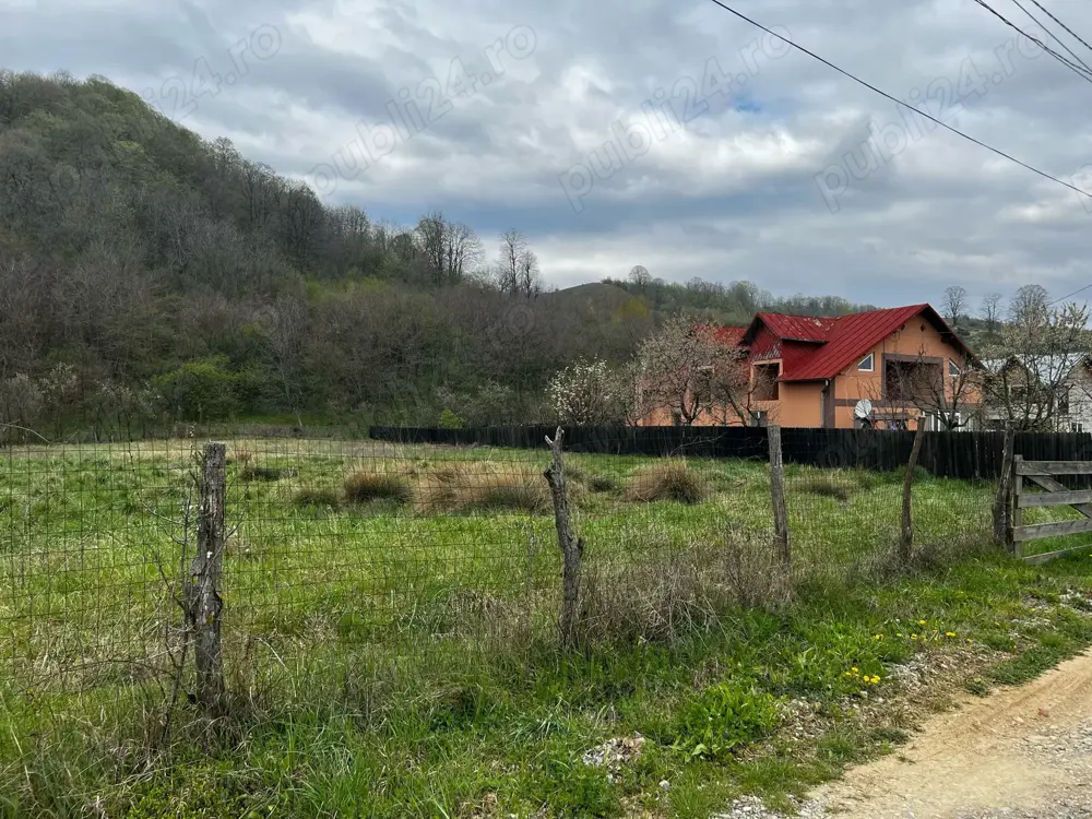 Teren de vânzare Filipeștii de Pădure
