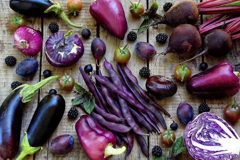 Gradina purpurie Seminte Vinete ardei busuioc fasole Pachet 15 plicuri