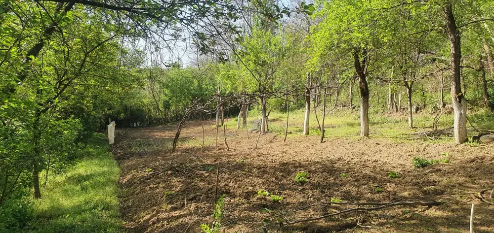 Vand terenuri -intravilan Doclin Vand terenuri -intravilan Doclin