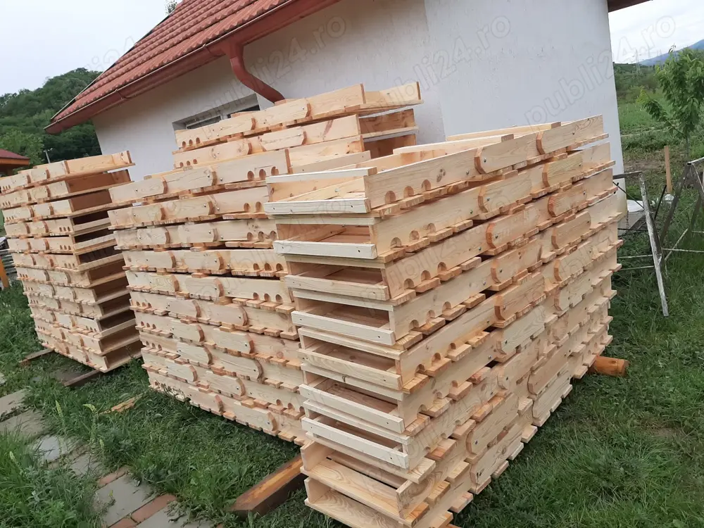 Sezlonguri din lemn de pin nordic foarte uscat si lacuit 