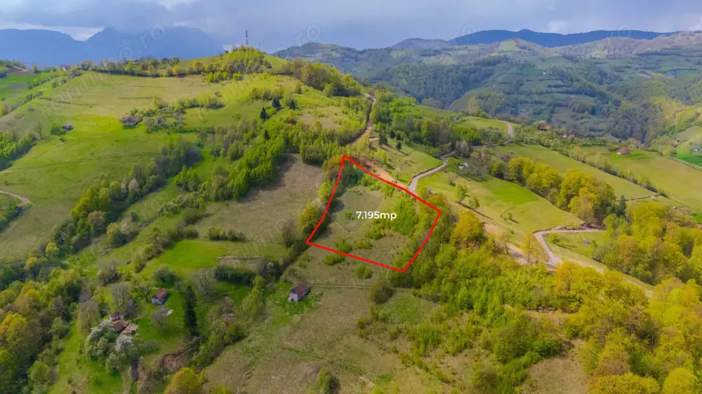 Teren 7,195mp Poiana Marului /Extravilan/Oportunitate investiție