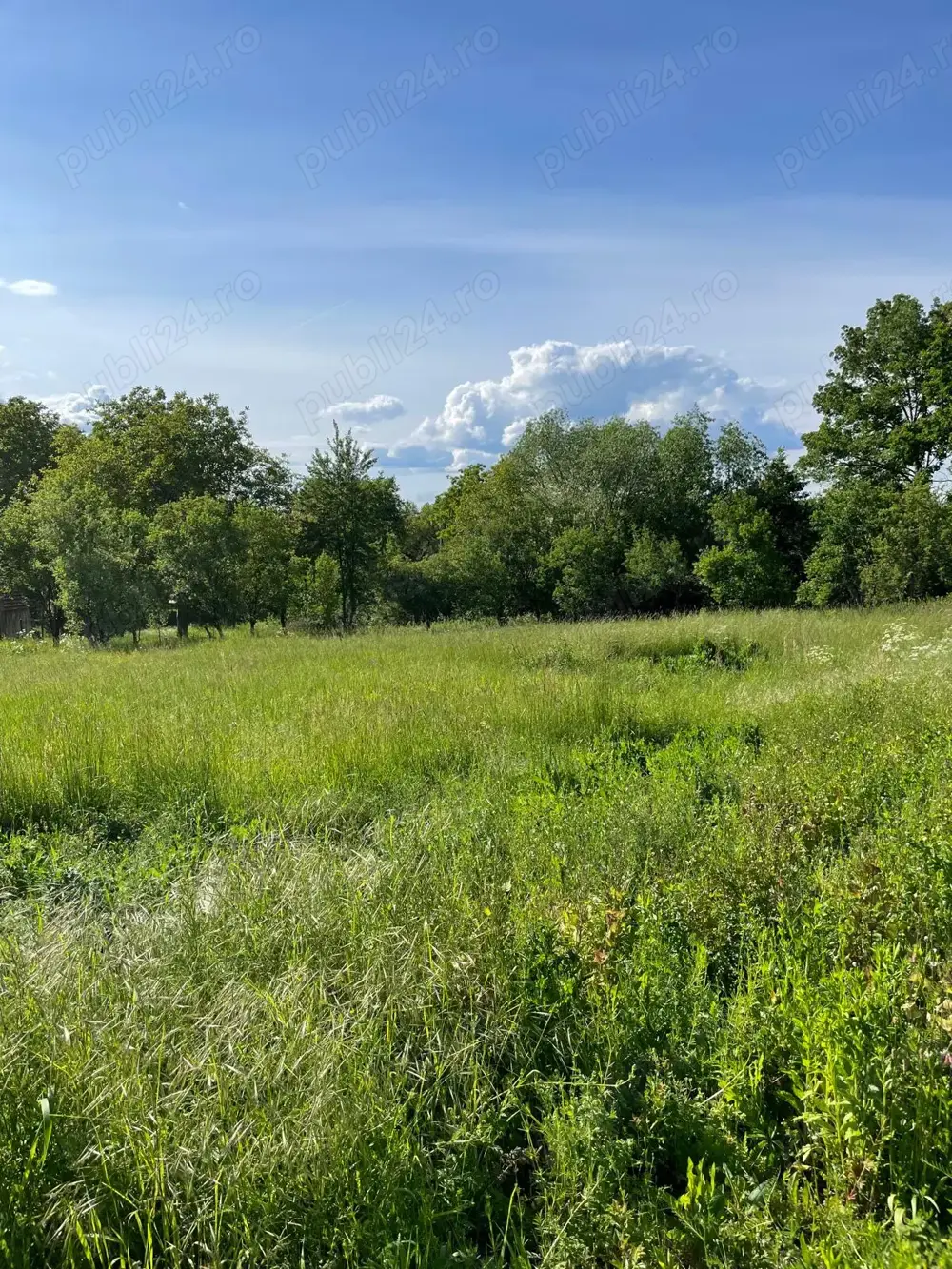 Teren vânzare Somcuta Mare