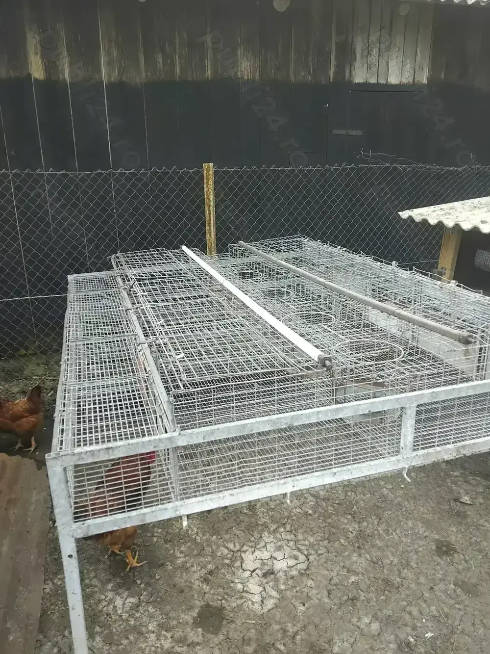 Cușcă iepuri profesionala Cușcă iepuri profesionala