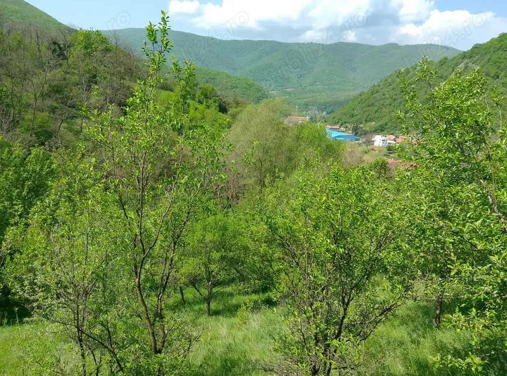 Teren extravilan Băile Herculane 5000 m2