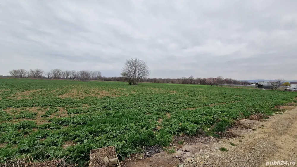 Teren intravilan Focșani