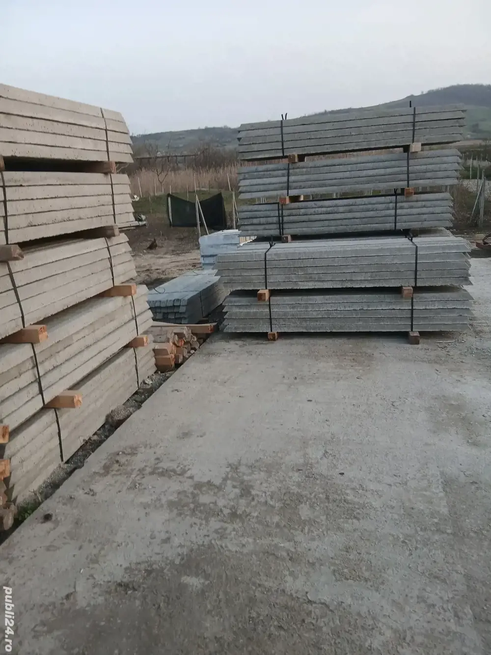 spalieri noi pentru vie si gard 