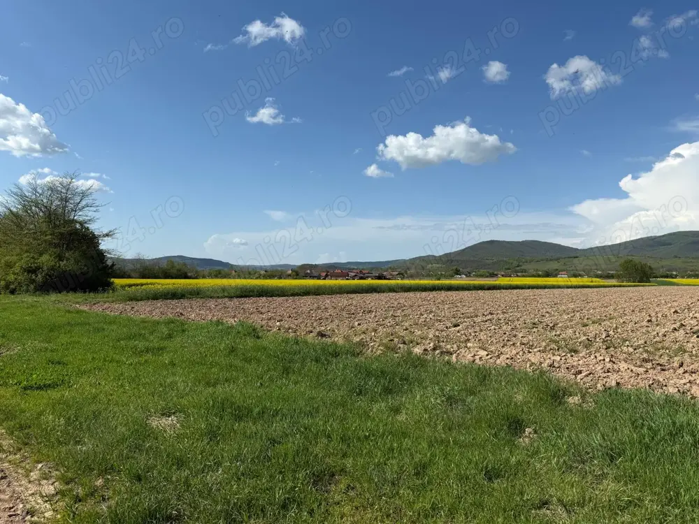 Vând teren intravilan în județul Sălaj, comuna Napradea 