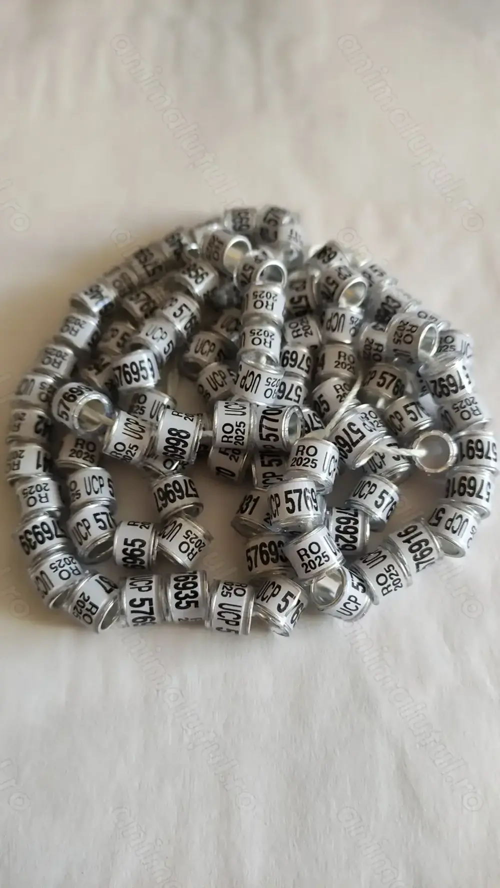 inele porumbei de asociatie UCP 2025