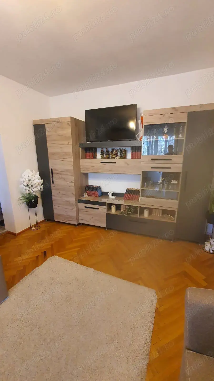 Apartament 3 camere