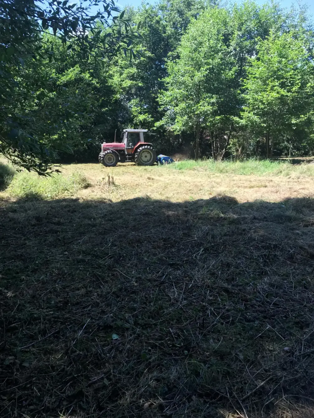 Teren in Câmpul Cetății 